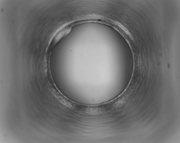 X0000080171364200612221240