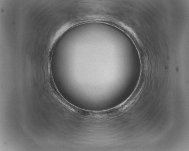 X0000080171365200612221240