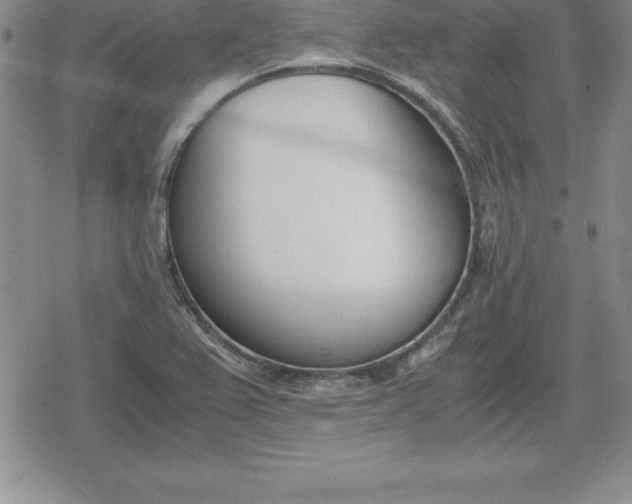 X0000080171367200612221240