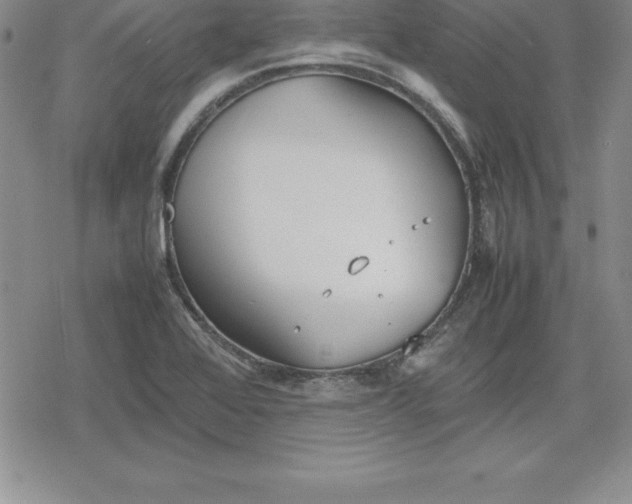 X0000080171368200612221240