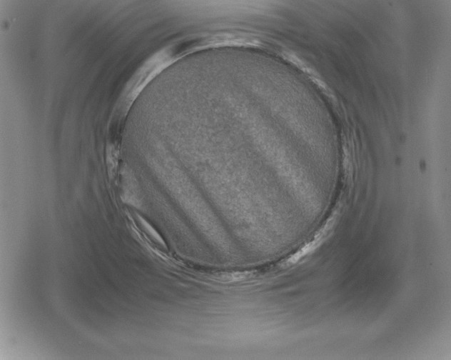 X0000080171369200612221240