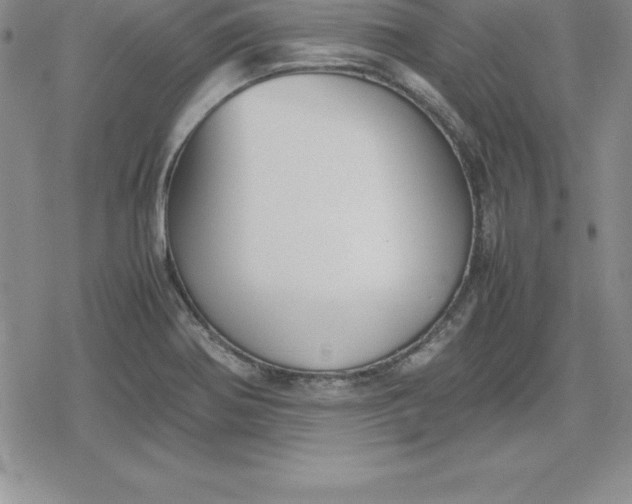 X0000080171370200612221240