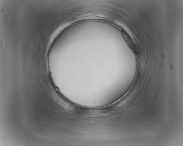 X0000080171371200612221240