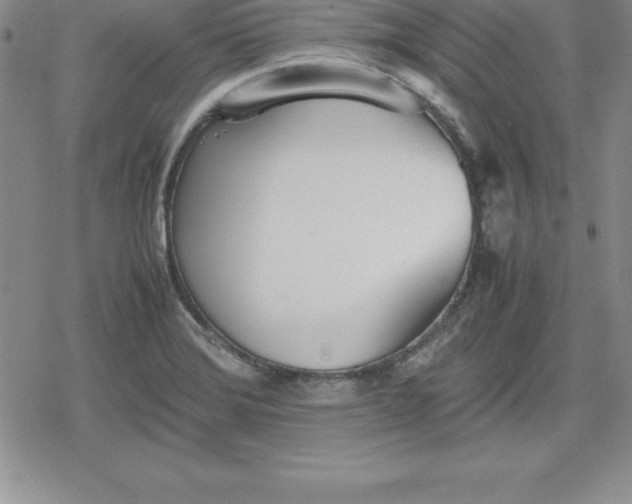 X0000080171372200612221240