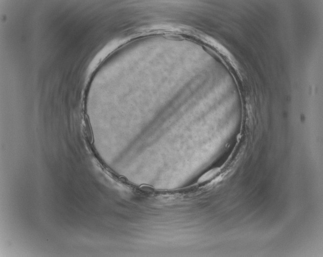 X0000080171373200612221240