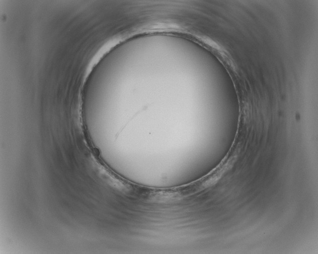 X0000080171374200612221240