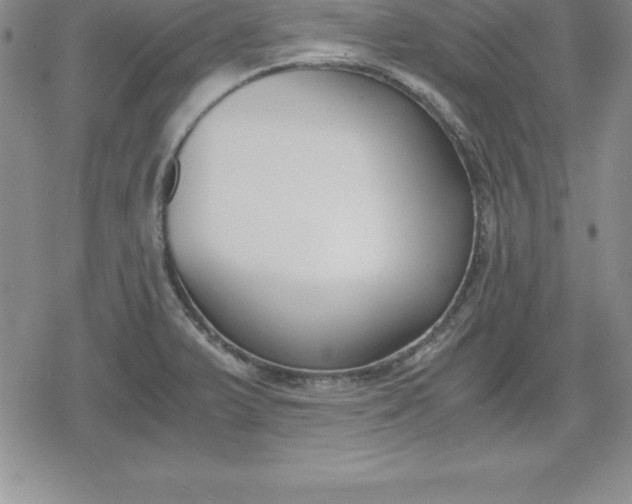 X0000080171375200612221240