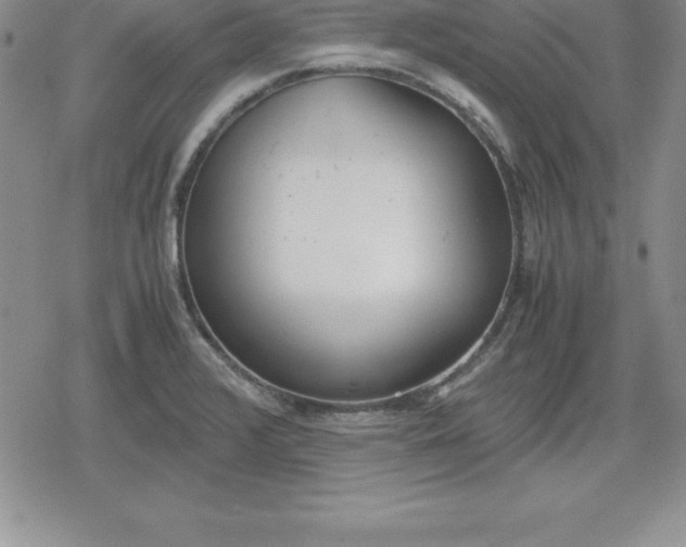 X0000080171376200612221240