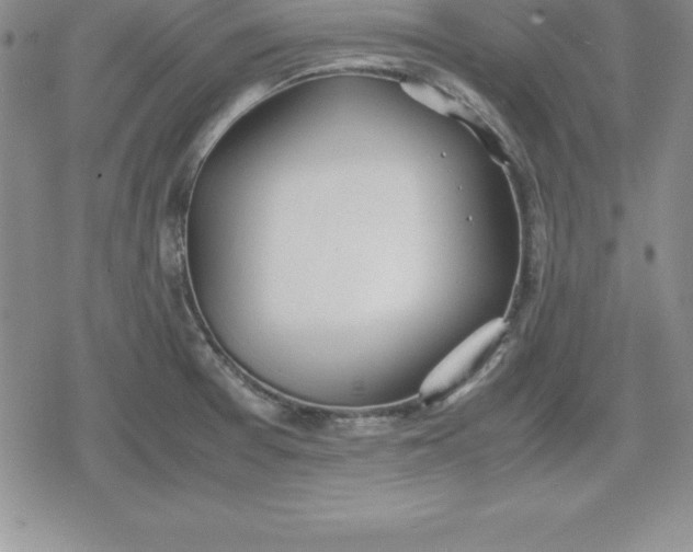 X0000080171377200612221240