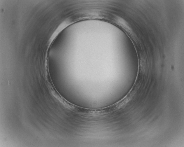 X0000080171378200612221240