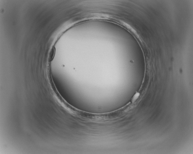 X0000080171379200612221240