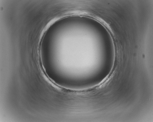 X0000080171381200612221240