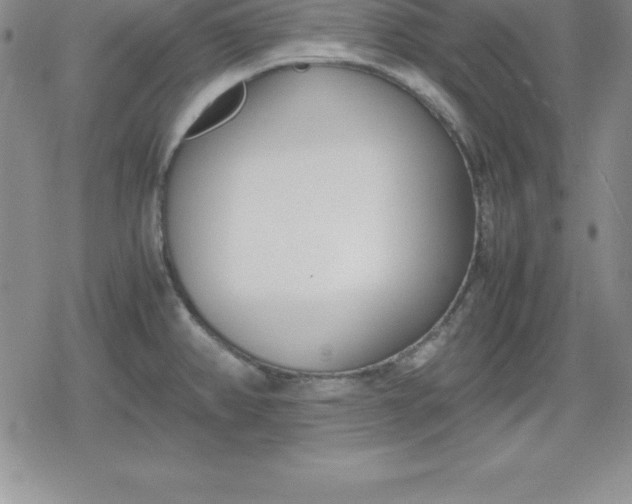 X0000080171382200612221240