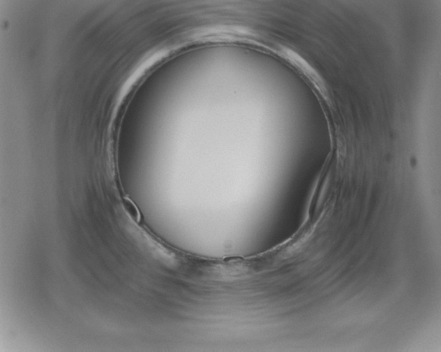 X0000080171384200612221240