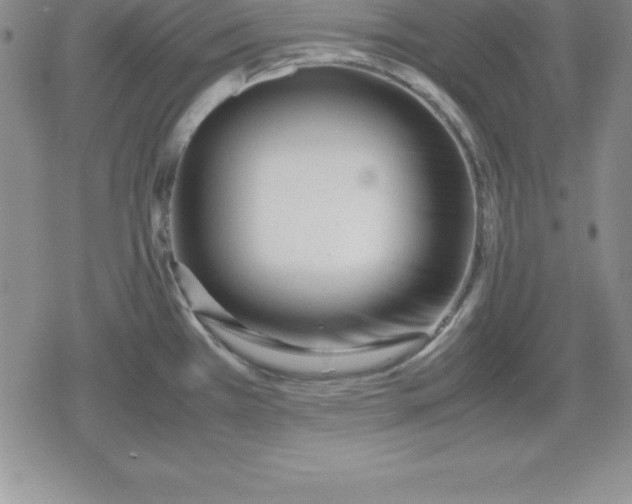 X0000080171385200612221240