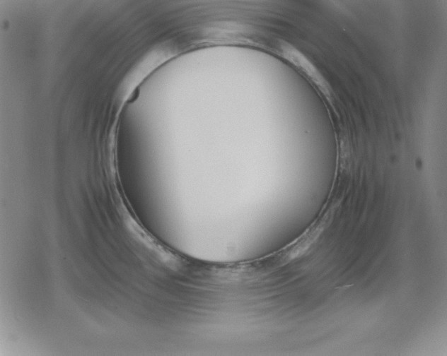 X0000080171386200612221240