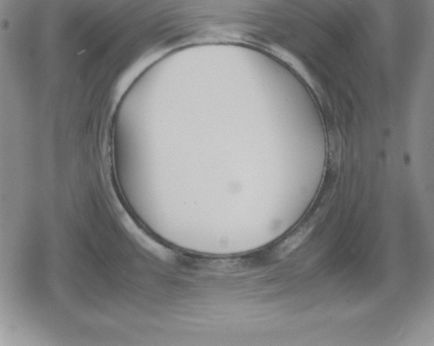 X0000080171387200612221240