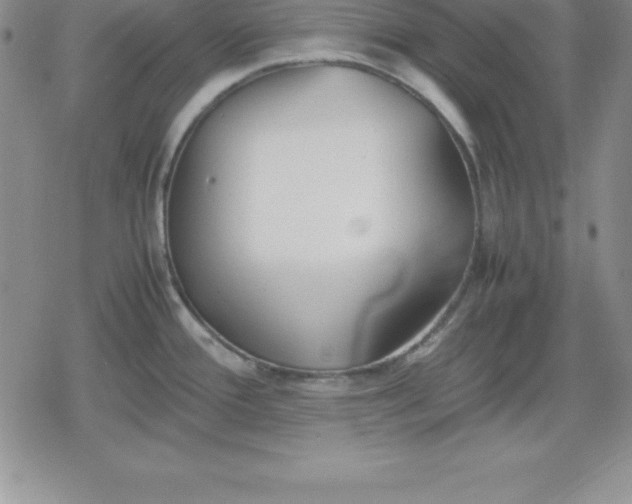 X0000080171388200612221240