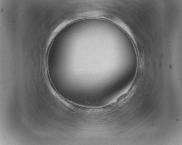 X0000080171389200612221240