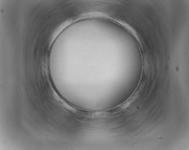 X0000080171390200612221240