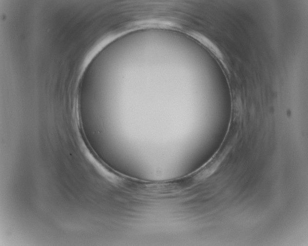 X0000080171391200612221240