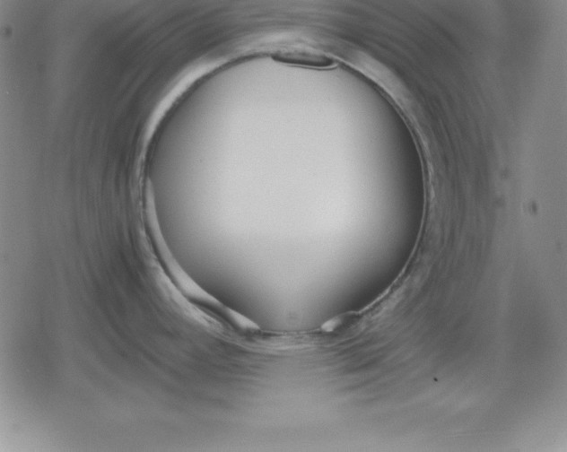 X0000080171392200612221240