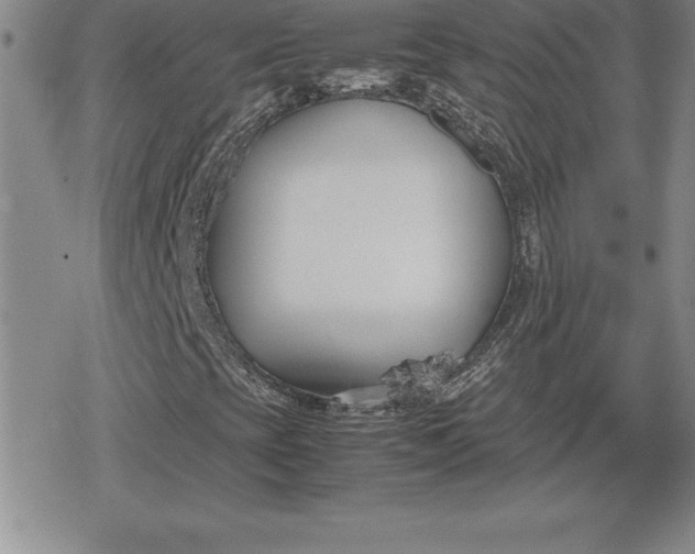 X0000080171393200612221239