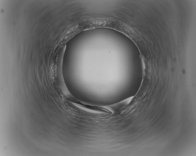 X0000080171394200612221239