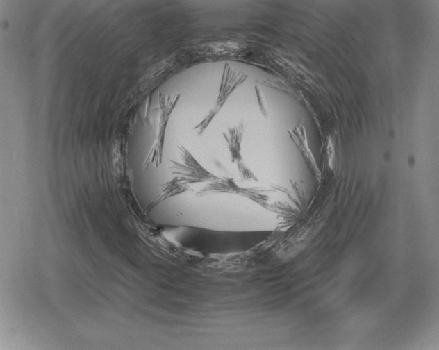 X0000080171395200612221239