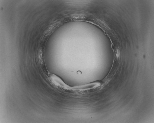 X0000080171396200612221239