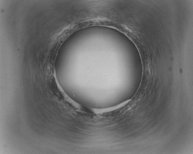 X0000080171398200612221239