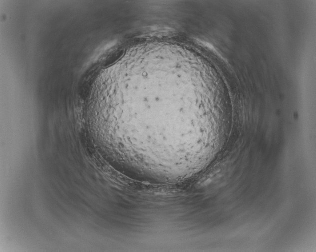 X0000080171399200612221239