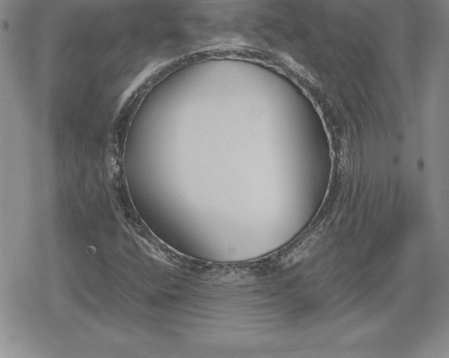 X0000080171400200612221239