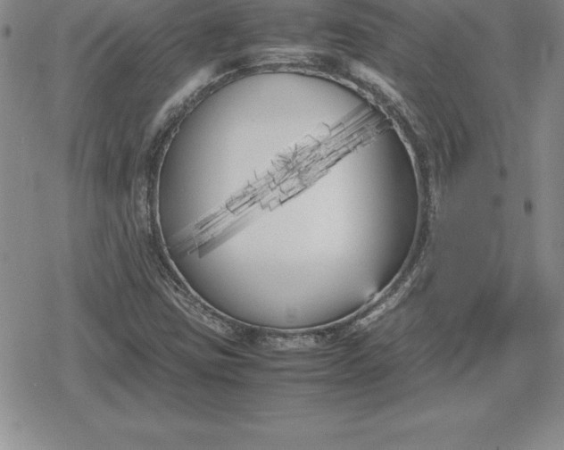 X0000080171403200612221239