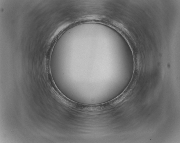 X0000080171404200612221239