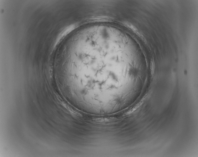 X0000080171405200612221239