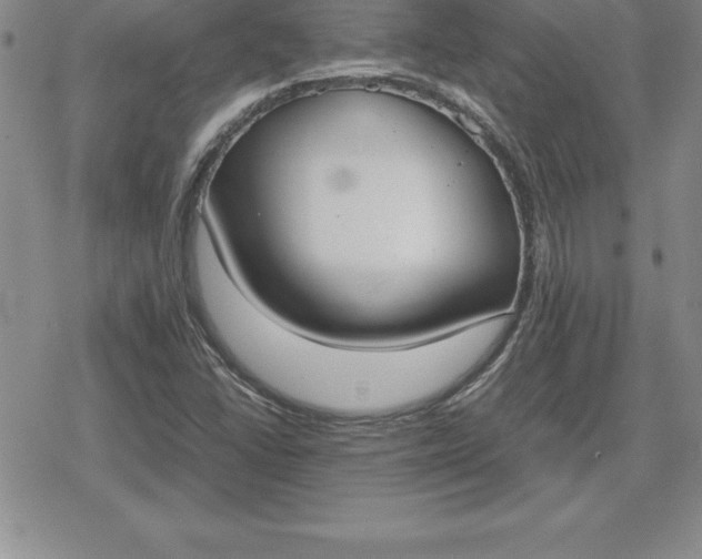 X0000080171406200612221239