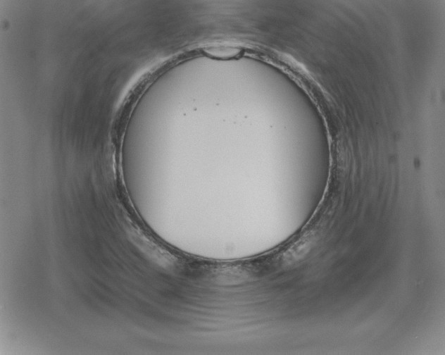 X0000080171408200612221239