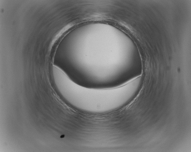 X0000080171410200612221239