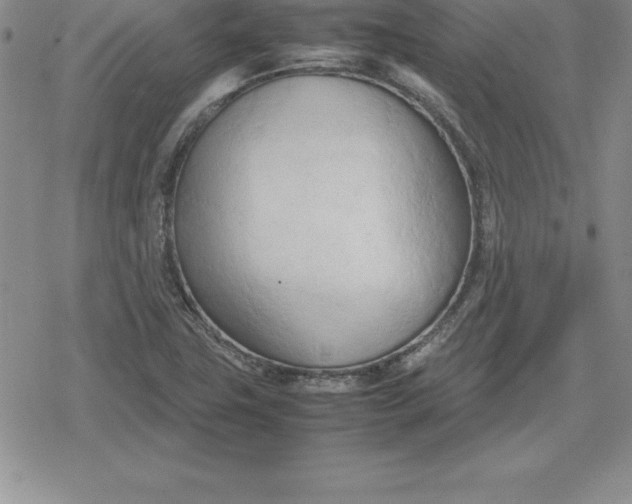 X0000080171411200612221239