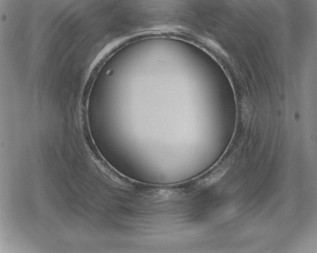 X0000080171412200612221239