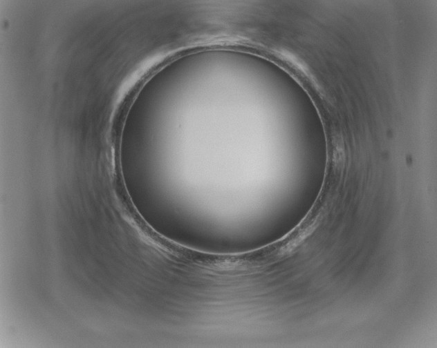 X0000080171414200612221239