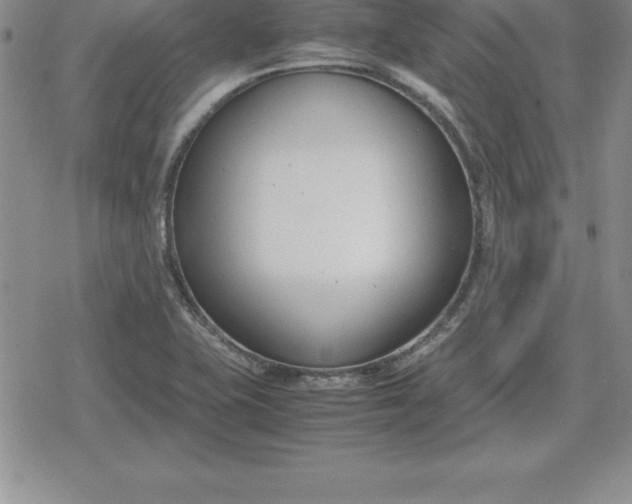 X0000080171415200612221239