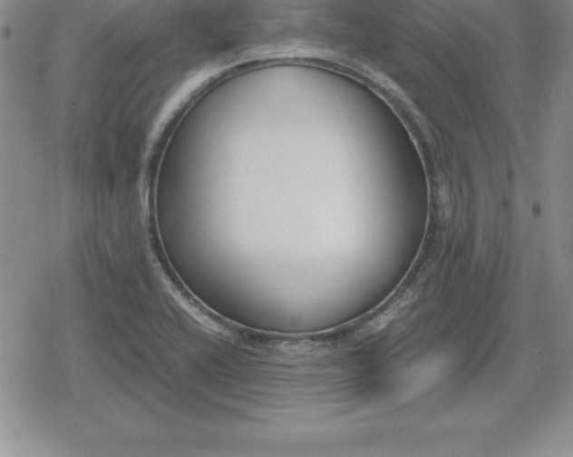 X0000080171416200612221239