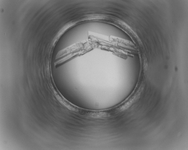 X0000080171417200612221239