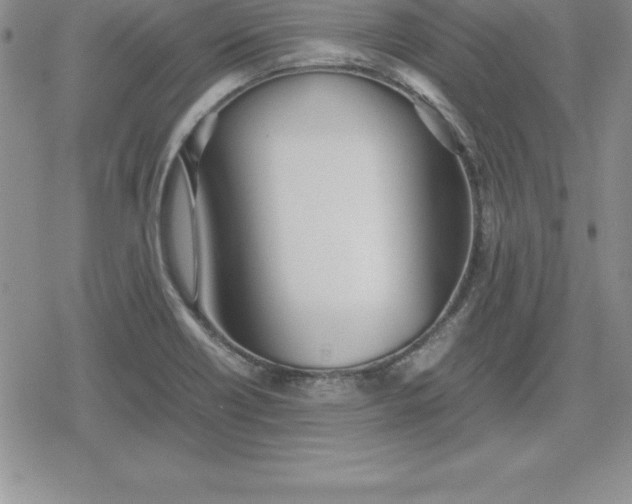 X0000080171418200612221239