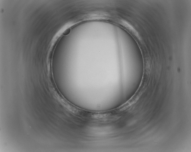 X0000080171419200612221239