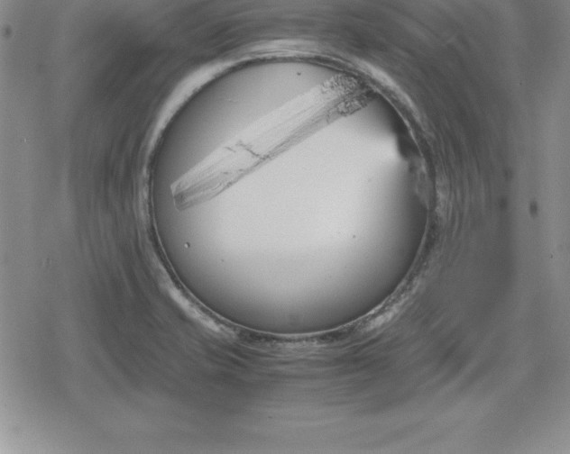 X0000080171421200612221239