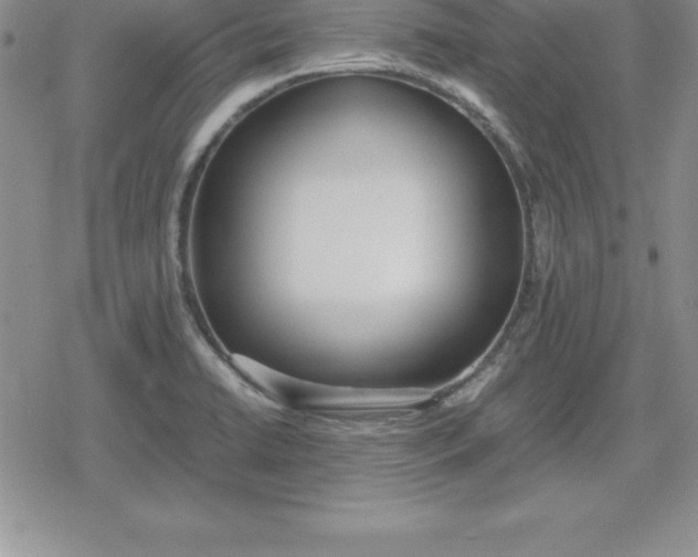 X0000080171422200612221239