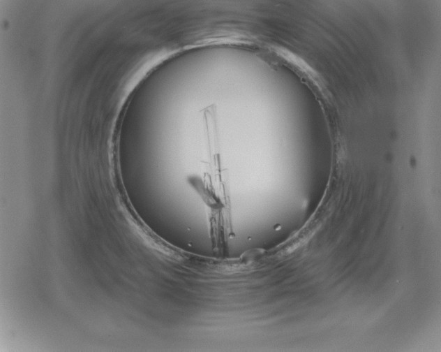 X0000080171423200612221239